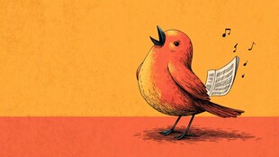 欢唱的红鸟与音乐元素