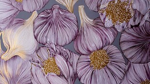 紫色大蒜特写纹理图案