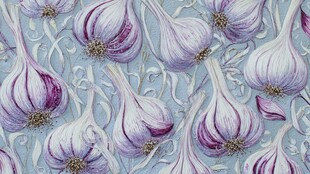 紫皮大蒜图案纹理背景