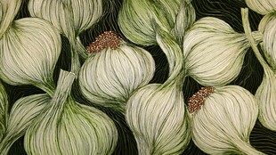 手绘大蒜静物图