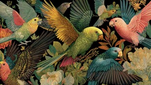 缤纷鹦鹉与花卉的绚丽图景