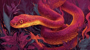 梦幻紫橙巨蟒盘踞丛林