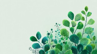 清新绿植插画 生机满满