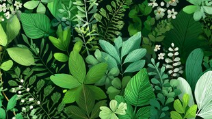 翠绿植物组成的清新背景