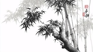 水墨竹韵