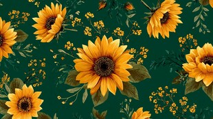 向日葵花卉绿色背景图案