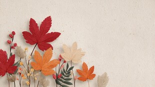 秋日多彩枫叶装饰画面