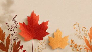 秋日枫叶与植物的诗意组合