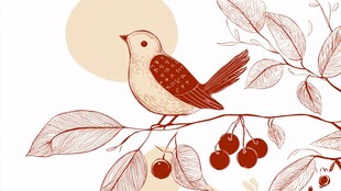 枝头小鸟与红果插画