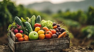 木盒中的多彩新鲜蔬菜