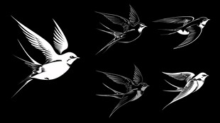 黑白剪影燕子飞翔图案