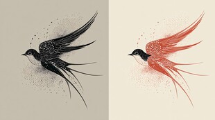 黑白红三色梦幻飞鸟图案