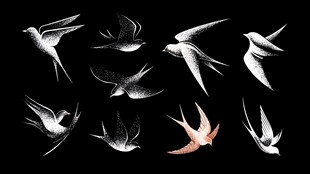 燕子剪影图案设计素材