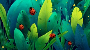 绿叶间的瓢虫梦幻小世界