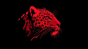 红色猎豹剪影 神秘酷炫