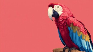 艳丽鹦鹉栖息于木枝