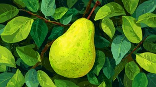 枝头青梨伴绿叶