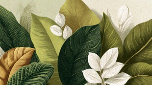 多彩叶片插画 自然清新风