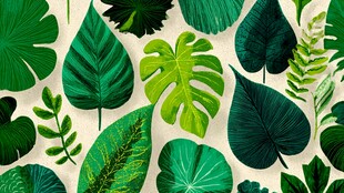 热带风情绿叶图案背景