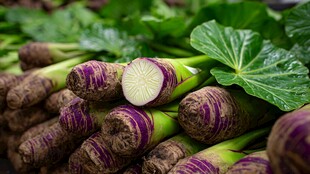 紫皮莴笋堆叠 新鲜诱人