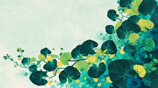 清新荷叶装饰插画背景