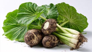 新鲜芋艿带叶展示