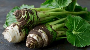 新鲜洋姜带叶特写