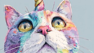 彩虹独角兽猫的梦幻瞬间