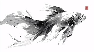 水墨金鱼图