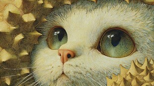藏于榴莲间的萌趣猫咪