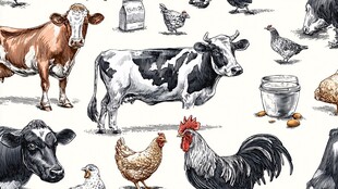 农场动物及畜牧元素插画