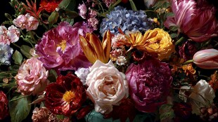 缤纷花卉组合绽放之美