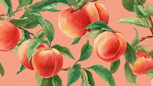 水彩风桃子枝叶图案设计