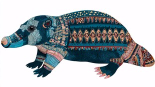 手绘花纹犰狳插画艺术形象