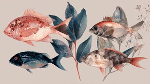 水彩绘多彩鱼类与植物