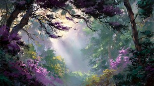 梦幻森林中的阳光透射美景