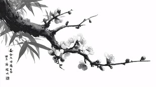 墨韵梅枝图