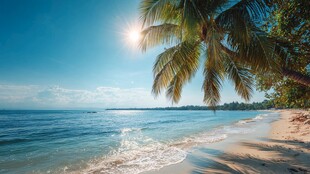 阳光椰影下的美丽海滨