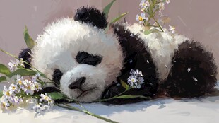 酣睡的熊猫与烂漫小花