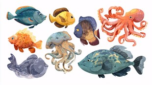 海洋鱼类与章鱼水母插画