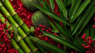 热带植物与果实的艳丽组合