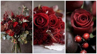 深红花卉特写 浪漫花艺之美