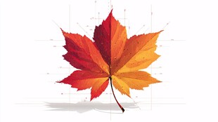 绚丽多彩枫叶插画