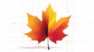 绚丽多彩枫叶插画