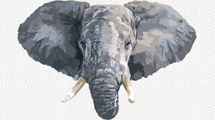 水彩风大象头像插画