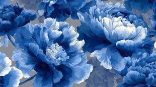 蓝调牡丹花卉图案