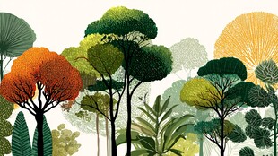 多彩森林植物景观插画