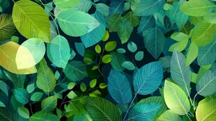 梦幻绿叶背景图