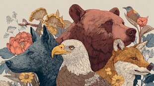 野生动物与花卉和谐图景