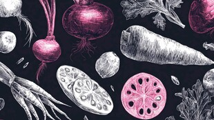 手绘风多彩根茎类蔬菜插画